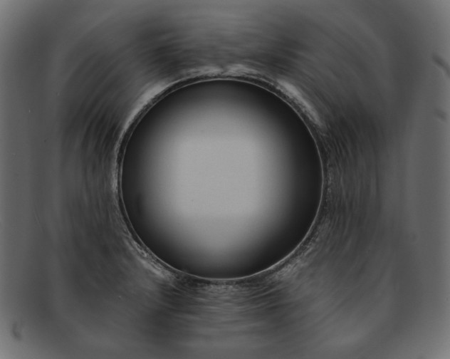 X0000091921232200709191333