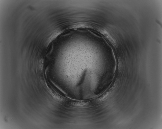 X0000091921233200709191333