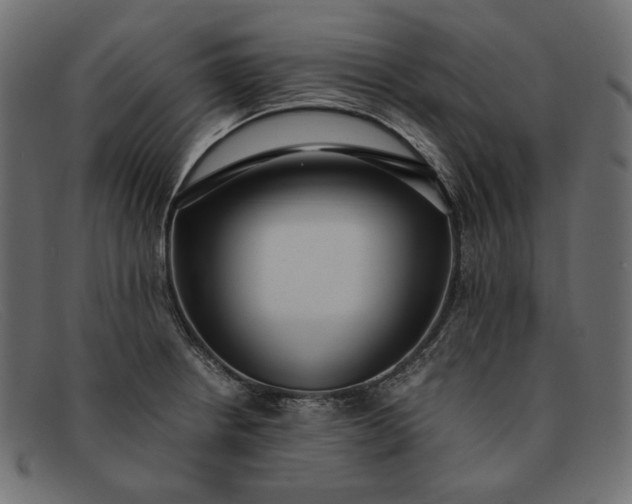 X0000091921234200709191333