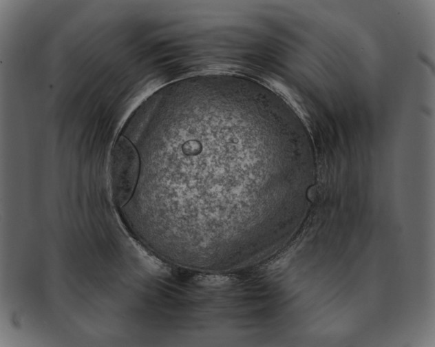 X0000091921235200709191333