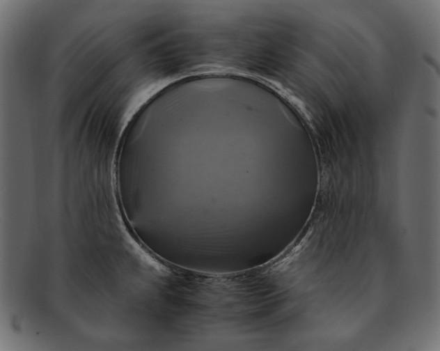 X0000091921239200709191333