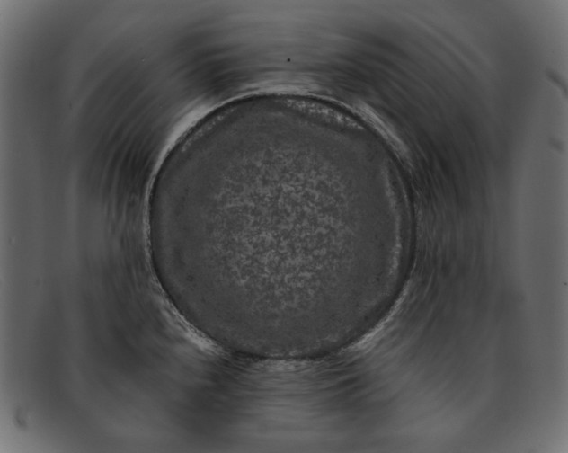 X0000091921240200709191333
