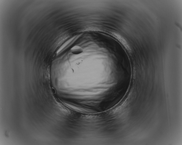 X0000091921241200709191333