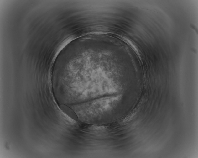 X0000091921243200709191333