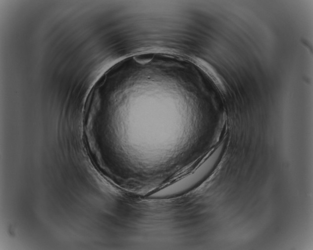 X0000091921244200709191333