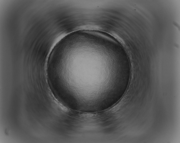 X0000091921248200709191333