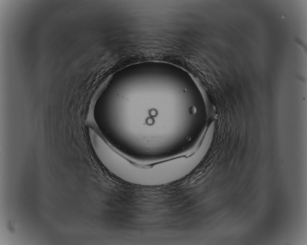 X0000091921249200709191333
