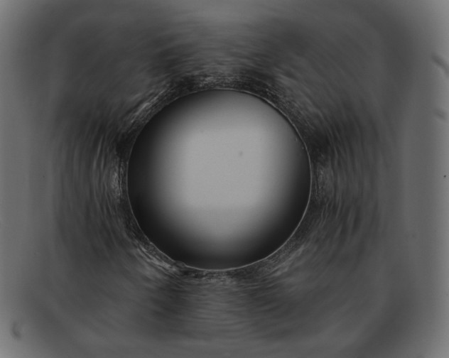 X0000091921250200709191332