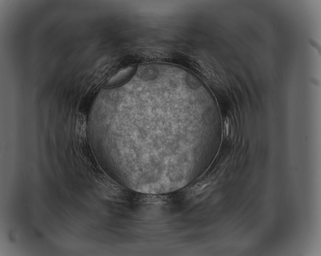 X0000091921251200709191332