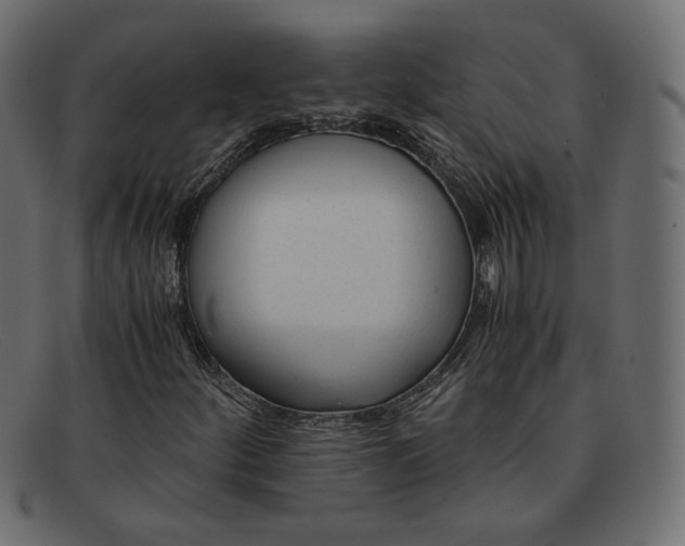 X0000091921252200709191332