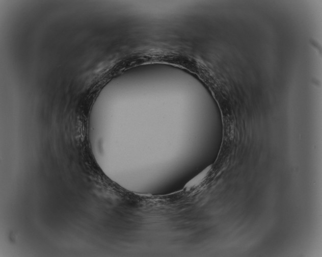 X0000091921253200709191332