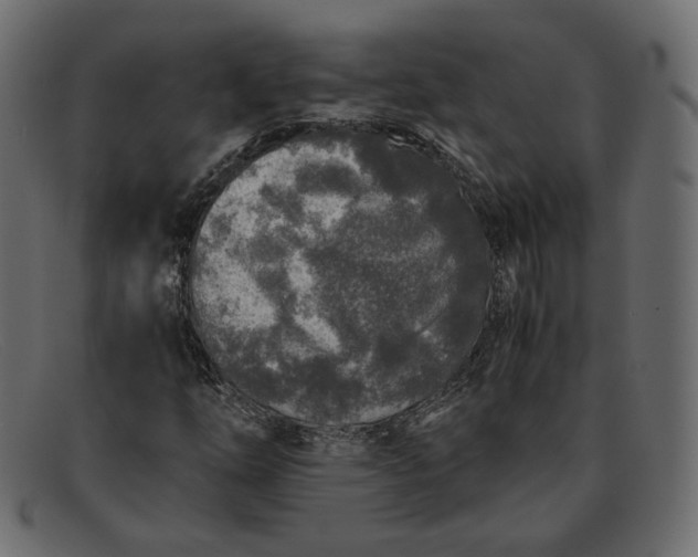 X0000091921254200709191332