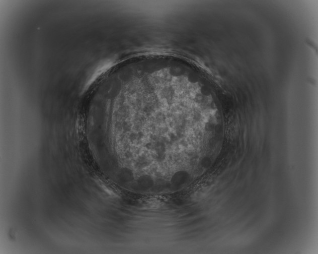 X0000091921255200709191332