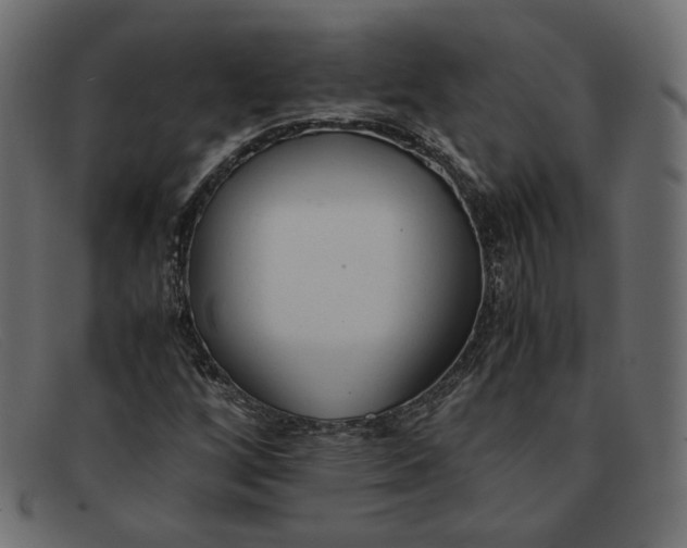 X0000091921256200709191332
