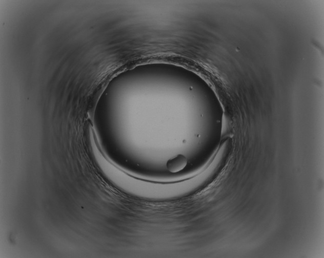 X0000091921257200709191332