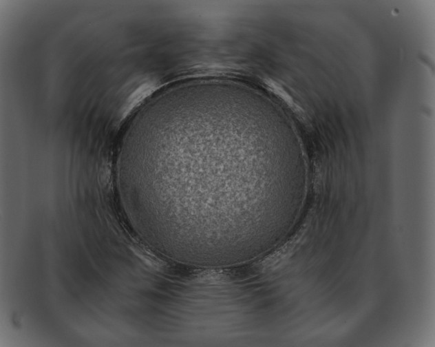 X0000091921259200709191332