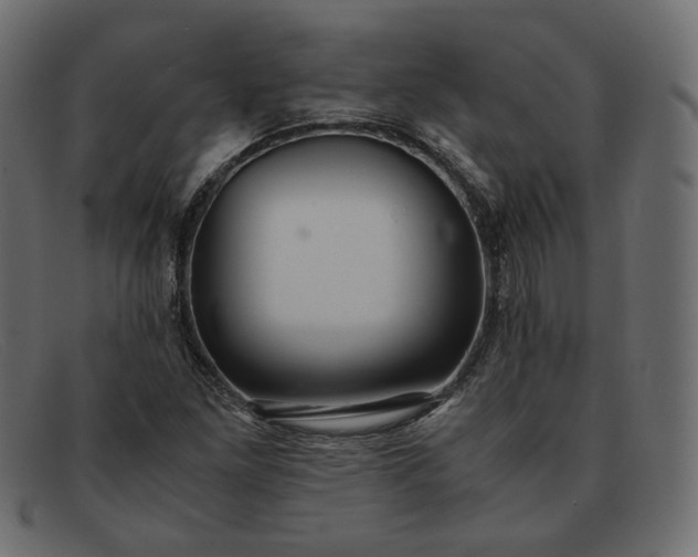 X0000091921261200709191332