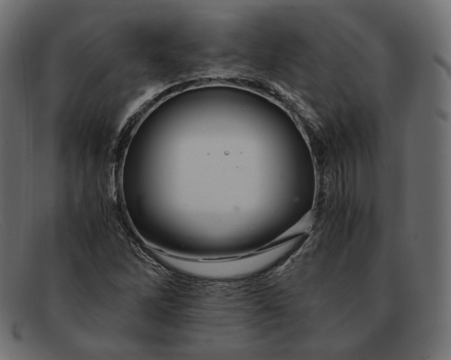 X0000091921262200709191332