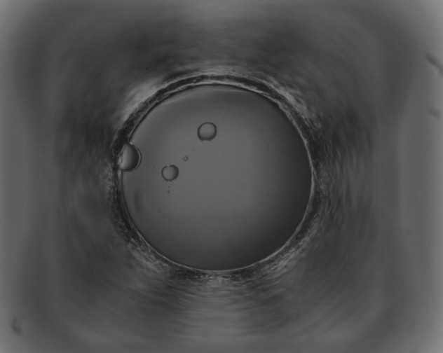 X0000091921263200709191332
