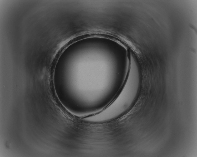 X0000091921264200709191332