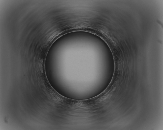X0000091921265200709191332