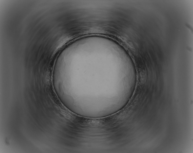 X0000091921266200709191332