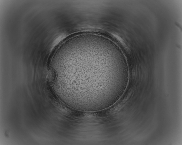 X0000091921267200709191332