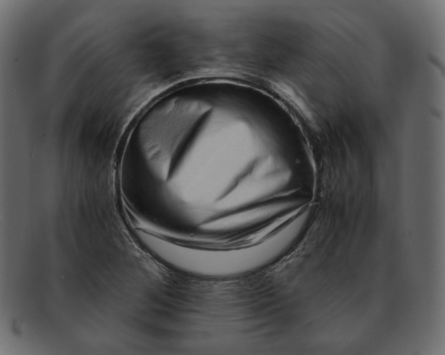 X0000091921268200709191332