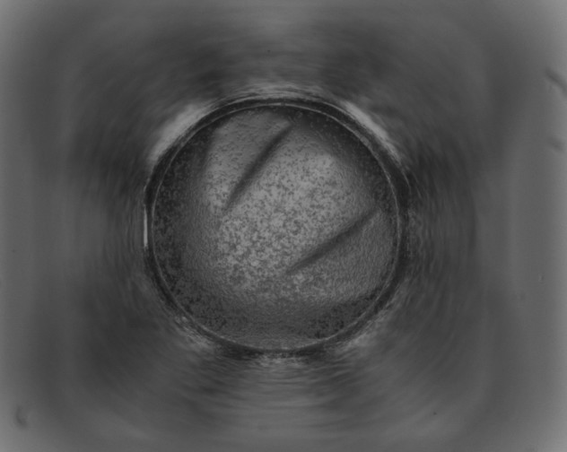 X0000091921269200709191332
