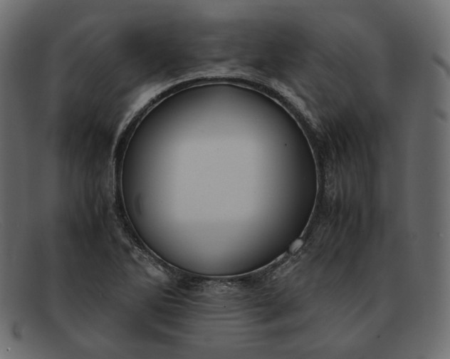 X0000091921270200709191332