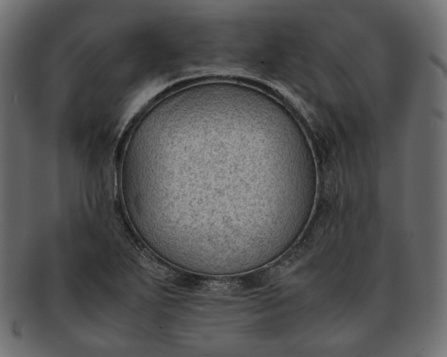 X0000091921271200709191332