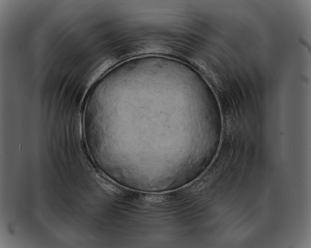 X0000091921274200709191332