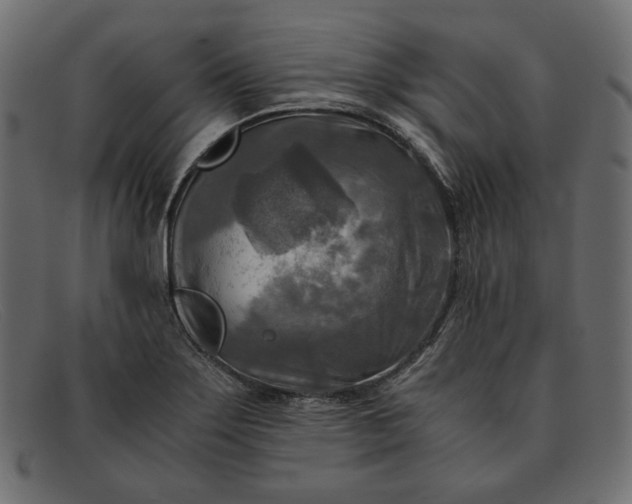 X0000091921275200709191332