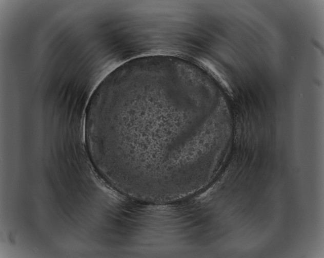 X0000091921276200709191332