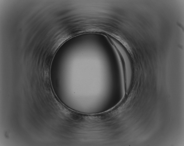 X0000091921281200709191332
