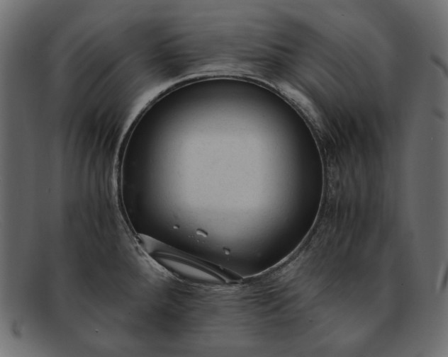 X0000091921288200709191332