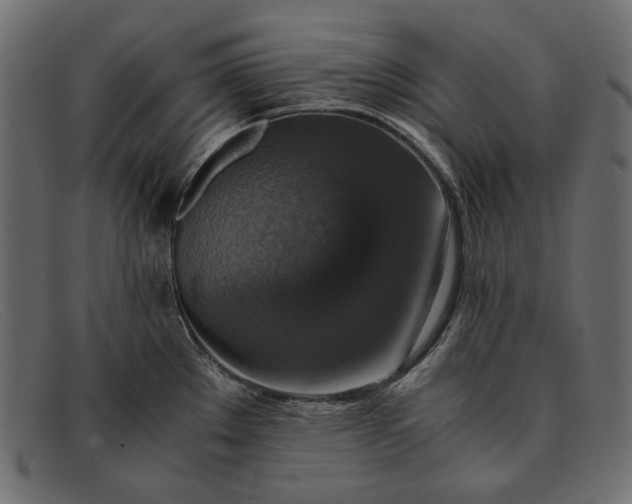 X0000091921289200709191332