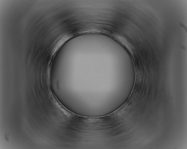 X0000091921290200709191332