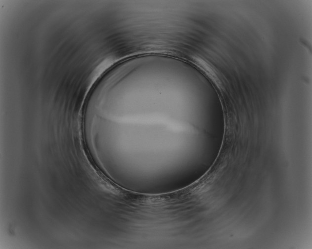 X0000091921291200709191332