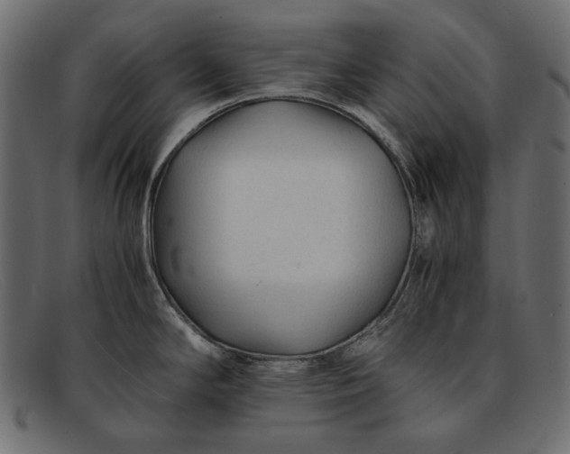 X0000091921294200709191332