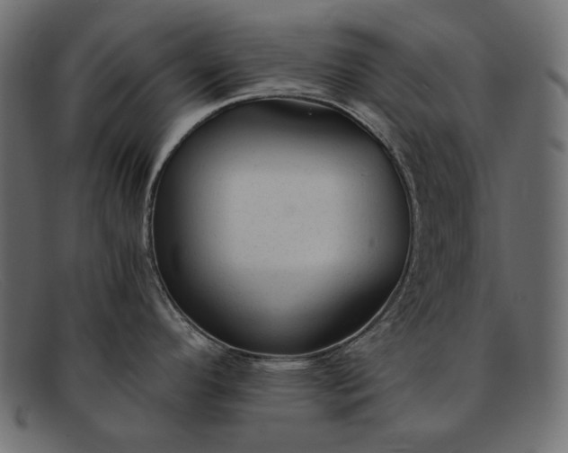 X0000091921296200709191332