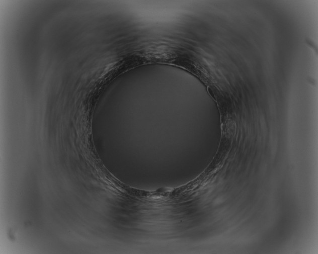 X0000091921297200709191331