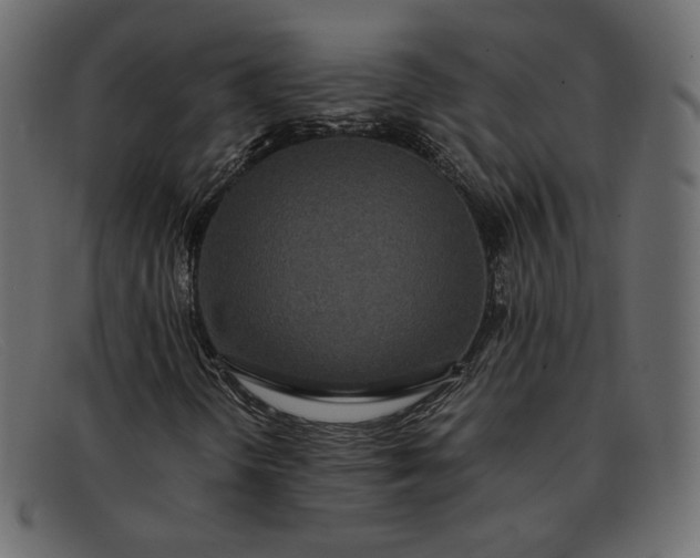 X0000091921298200709191331