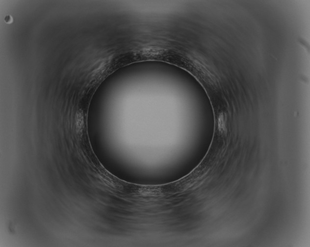 X0000091921299200709191331