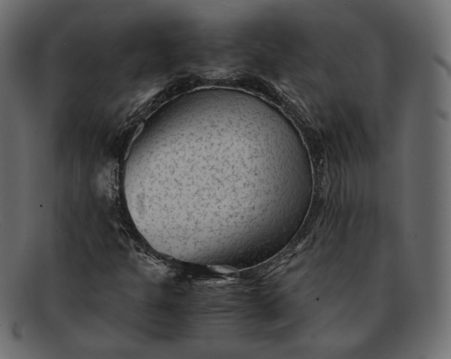 X0000091921301200709191331