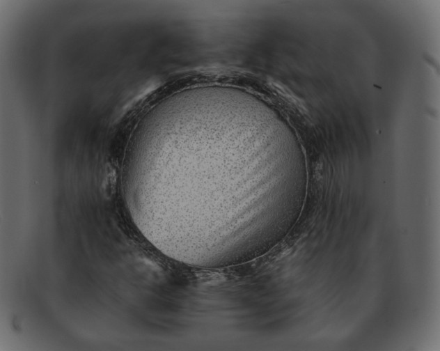 X0000091921302200709191331