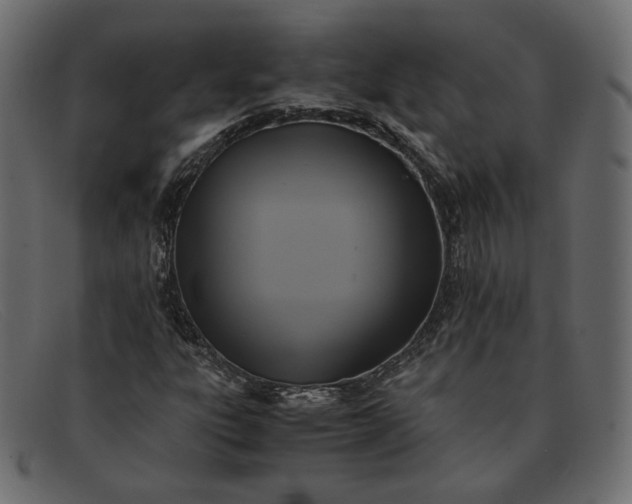 X0000091921303200709191331
