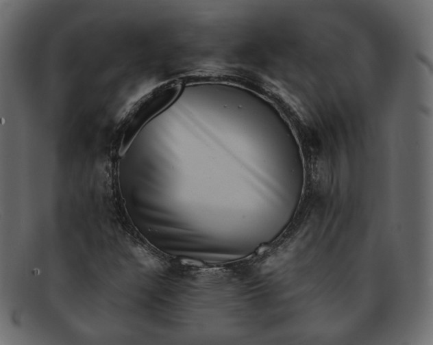 X0000091921304200709191331