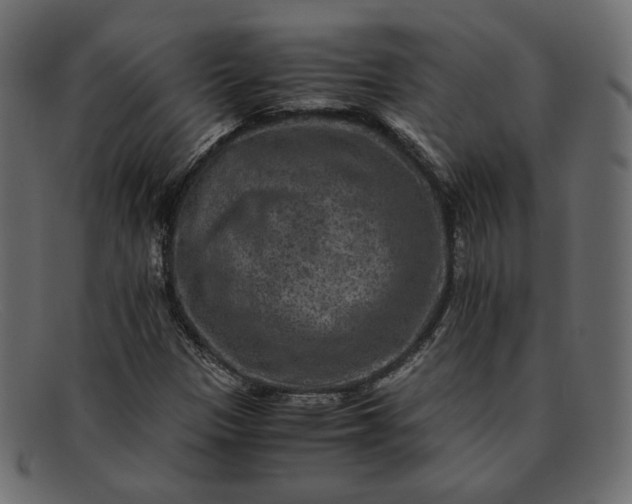 X0000091921305200709191331