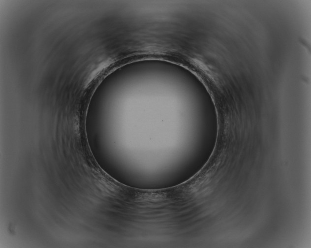 X0000091921307200709191332